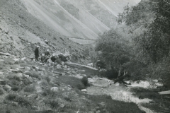 perego_156