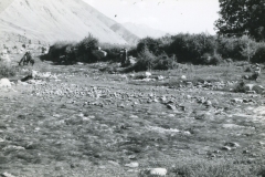 perego_164