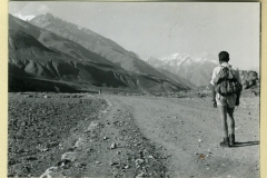 perego_180