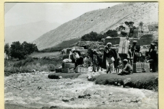 perego_183