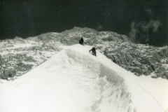 perego_104