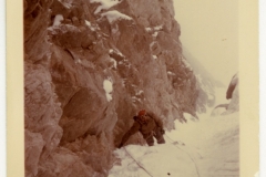peregorom_200b