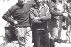 TINO29