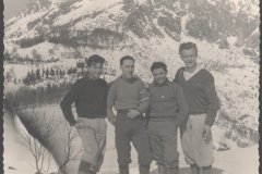 TINO42
