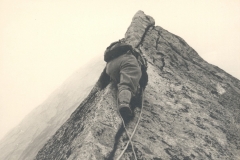 TINO61b