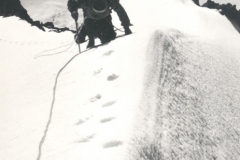 TINO62