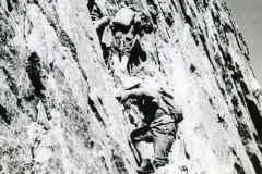 redaelli_216