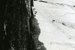 redaelli_217
