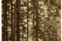 ben_foto_008