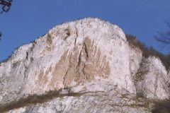 burini01