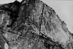 GLLEML_0011