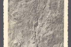 GLLEML_0085
