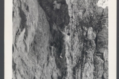 GLLEML_0098