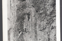 GLLEML_0118