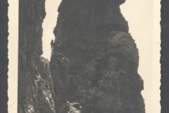 GLLEML_0217