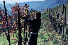 piloni01