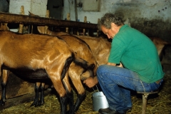 piloni05