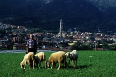piloni25