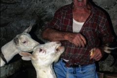 piloni26