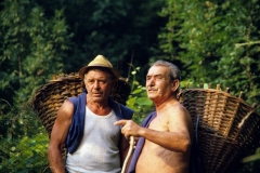 piloni29