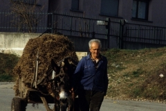 piloni32