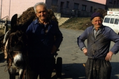 piloni33
