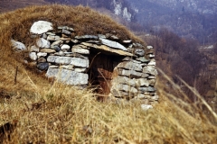 piloni38