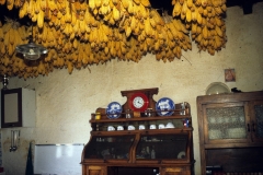 piloni46