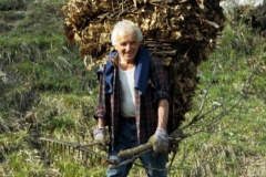 piloni51