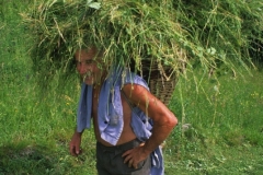 piloni52