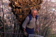 piloni54