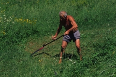 piloni55