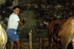 piloni59