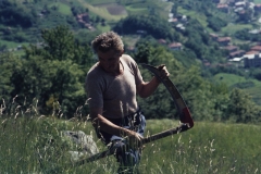 piloni67