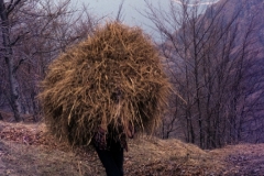 piloni68