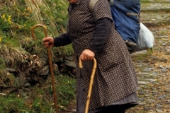 piloni79