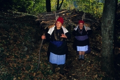 piloni87