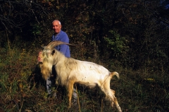 piloni90