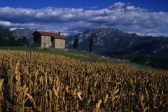 piloni91