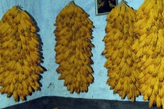 piloni94