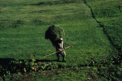 piloniB_06