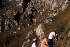piloniB_10