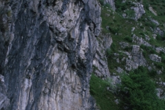 piloniB_13