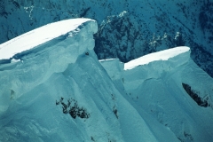 04_mont