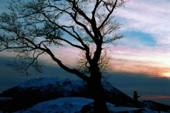 05_mont
