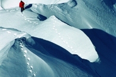 06_mont