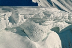 09_mont