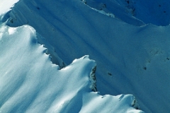 10_mont