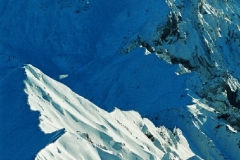 11_mont