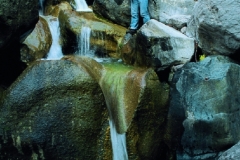 39_mont